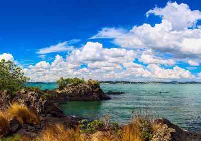 Auckland