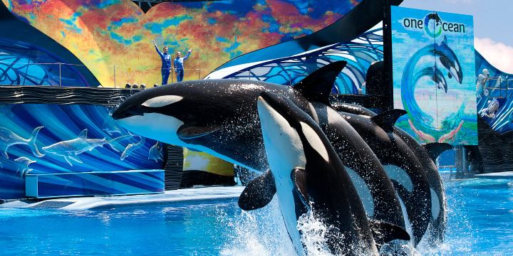 SeaWorld Orlando
