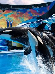 SeaWorld di Orlando