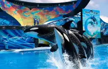 SeaWorld Orlando