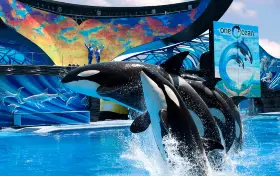 SeaWorld Orlando