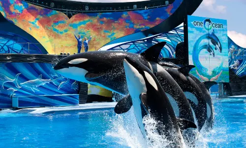 SeaWorld Orlando