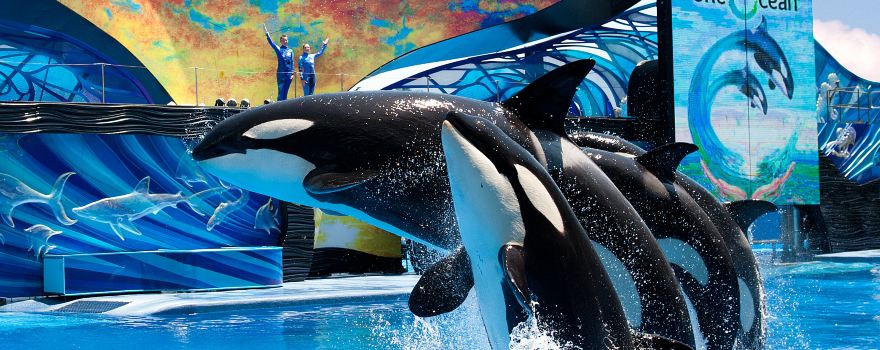 SeaWorld di Orlando