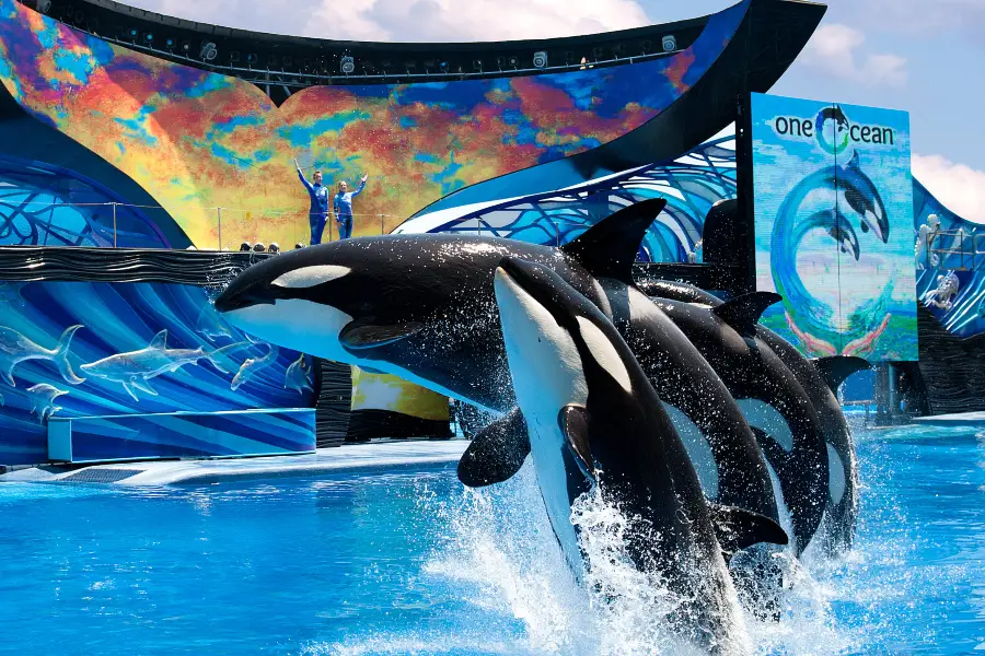 SeaWorld di Orlando