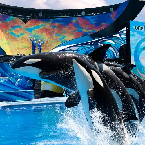 SeaWorld Orlando