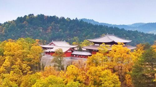 Shaanxi Huangling National Forest Park