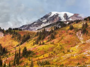 Mount-Rainier-Nationalpark