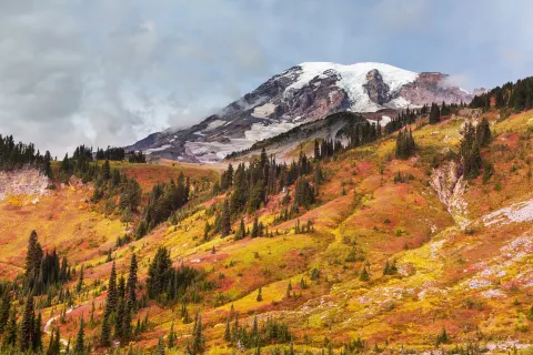 Parco nazionale del Monte Rainier