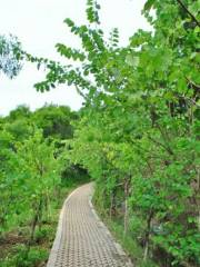 Bao'anlin Hiking Trail
