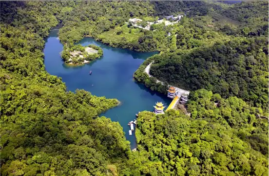 鄰近鼎湖山的酒店