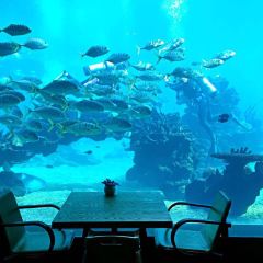 Aqua - Aquarium Restaurant User Photo