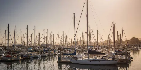 加州1號公路+17裏灣風景線+蒙特雷灣+斯坦福大學一日遊