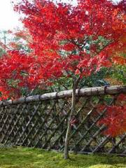 Koetsu-ji