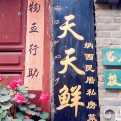 TianTian Xian User Photo