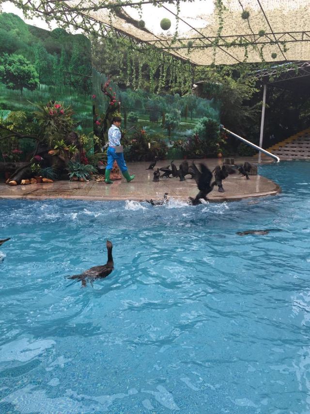 Chimelong Bird Park