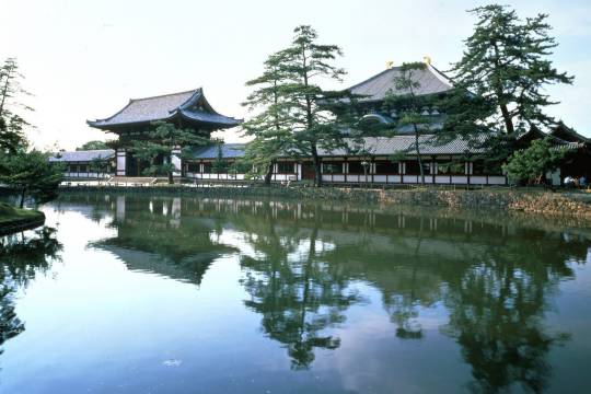 東大寺+三年阪二年阪+石塀小路一日遊