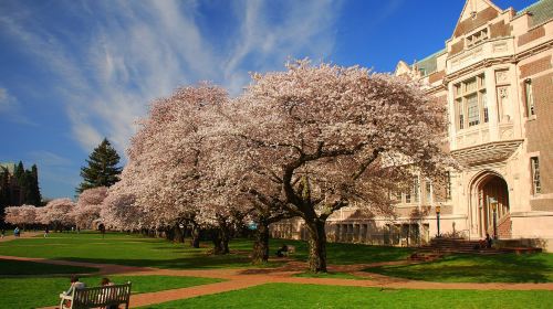 University of Washington