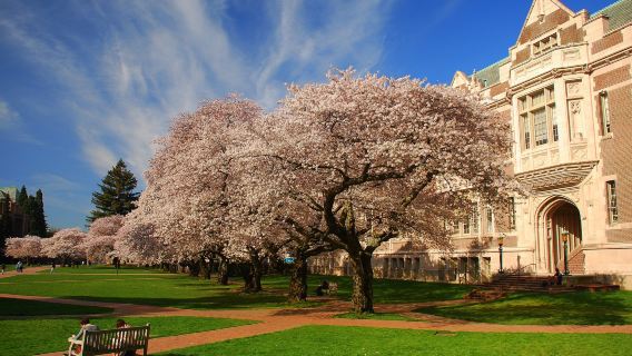 【包車】華盛頓大學+藝術博物館+亞馬遜總部+地下城之旅一日遊