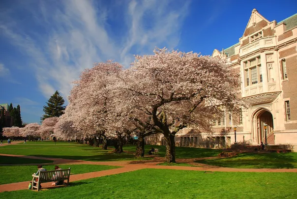 2_University of Washington