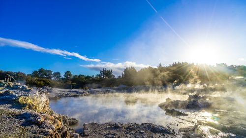 Whakarewarewa Thermal Village