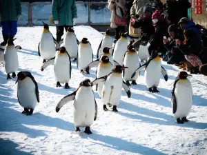 zoo di Asahiyama