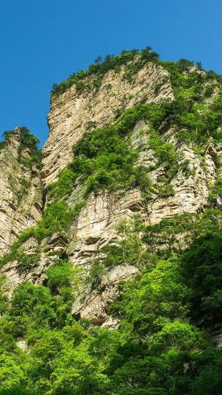 ทัวร์หนึ่งวันในอุทยานแห่งชาติจางเจียเจี้ย: ภูเขาทิเอนจือซานและเขตทิวทัศน์หยวนเจียเจี้ย