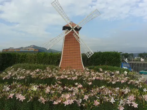 中社觀光花市