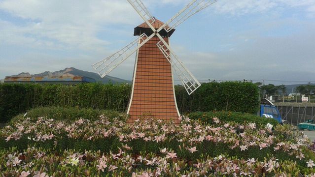 Zhongshe flower market taichung