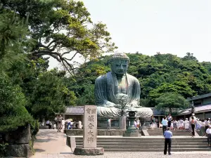 鎌倉大仏殿高徳院