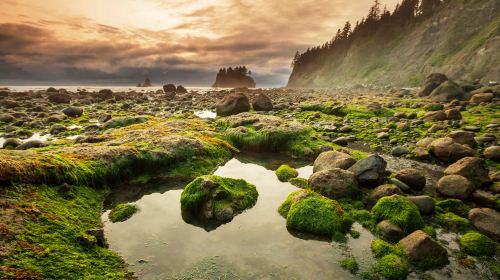 Olympic National Park