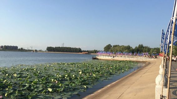 Lotus Lake