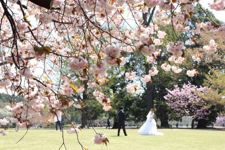 Shinjuku Gyoen National Garden