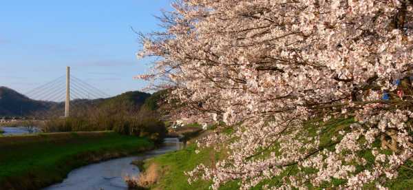 hostales en Prefectura de Shimane, Japón