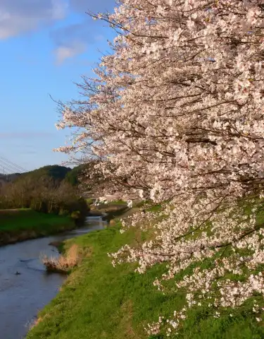 日本島根縣設有Wi-Fi的酒店