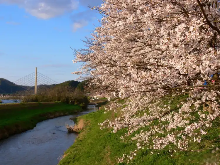 Hotel Dengan Wifi di Prefektur Shimane, Jepang