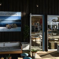 Get Shucked Oyster User Photo