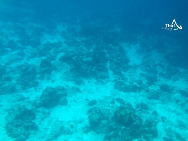 Tachai Island