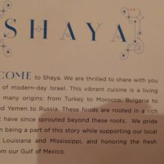 Shaya User Photo