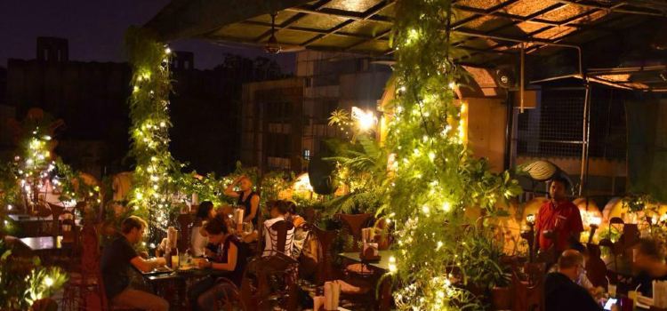 Peacock Rooftop Restaurant at Hotel Pearl Palace