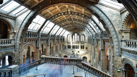 バッキンガム宮殿+ロンドン自然史博物館+大英博物館ワンデーツアー【貸切チャーター専用】