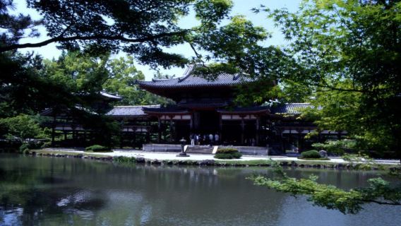 宇治市日遊