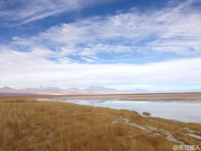 Laguna Cejar
