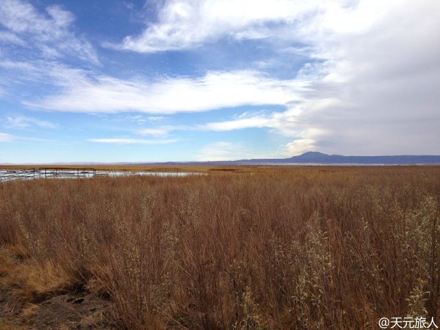 Laguna Cejar