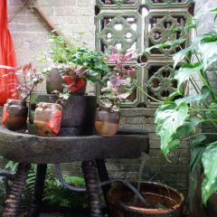 NONGCHU HAO WEI User Photo