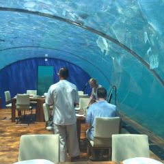 ITHAA UNDERSEA RESTAURANT ảnh của người dùng