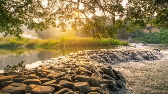 ทัวร์วันส่วนตัวไปยังหมู่บ้านโบราณหยุนสุ่ยเหยา