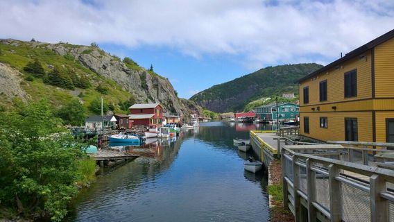 Saint John's Harbour