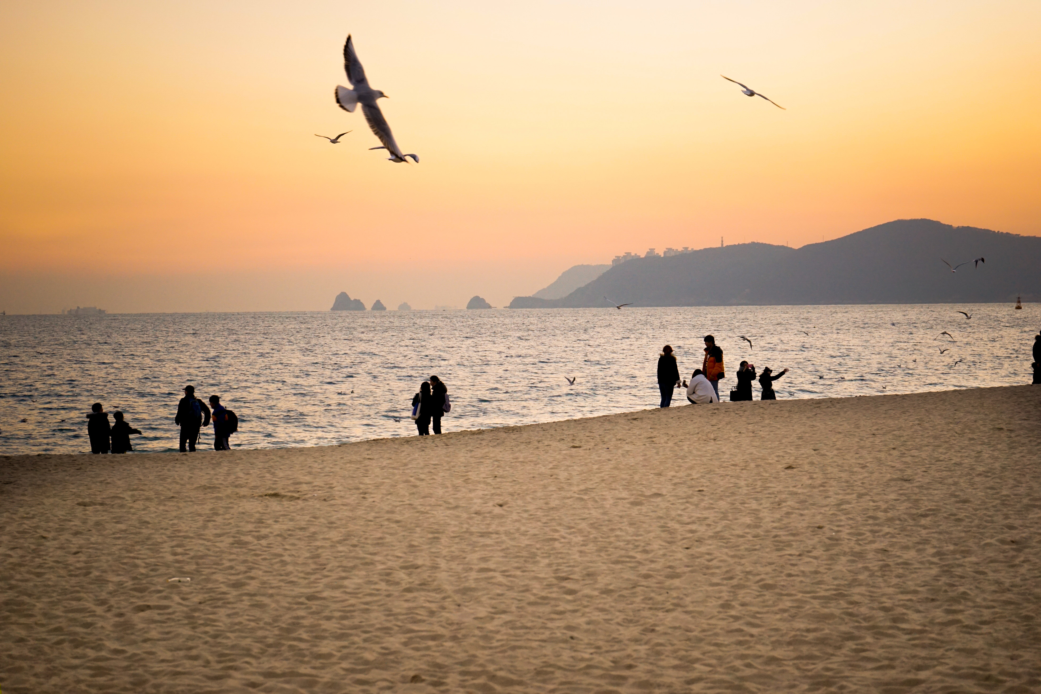 Haeundae Beach