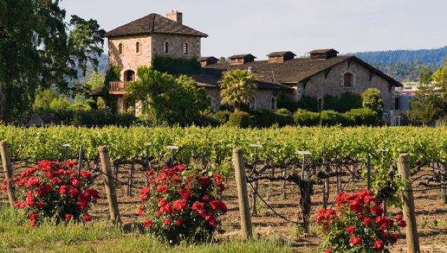 Дневной тур с дегустацией вин в Напа Вэлли