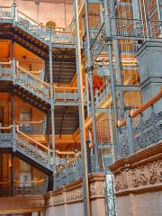 Bradbury Building